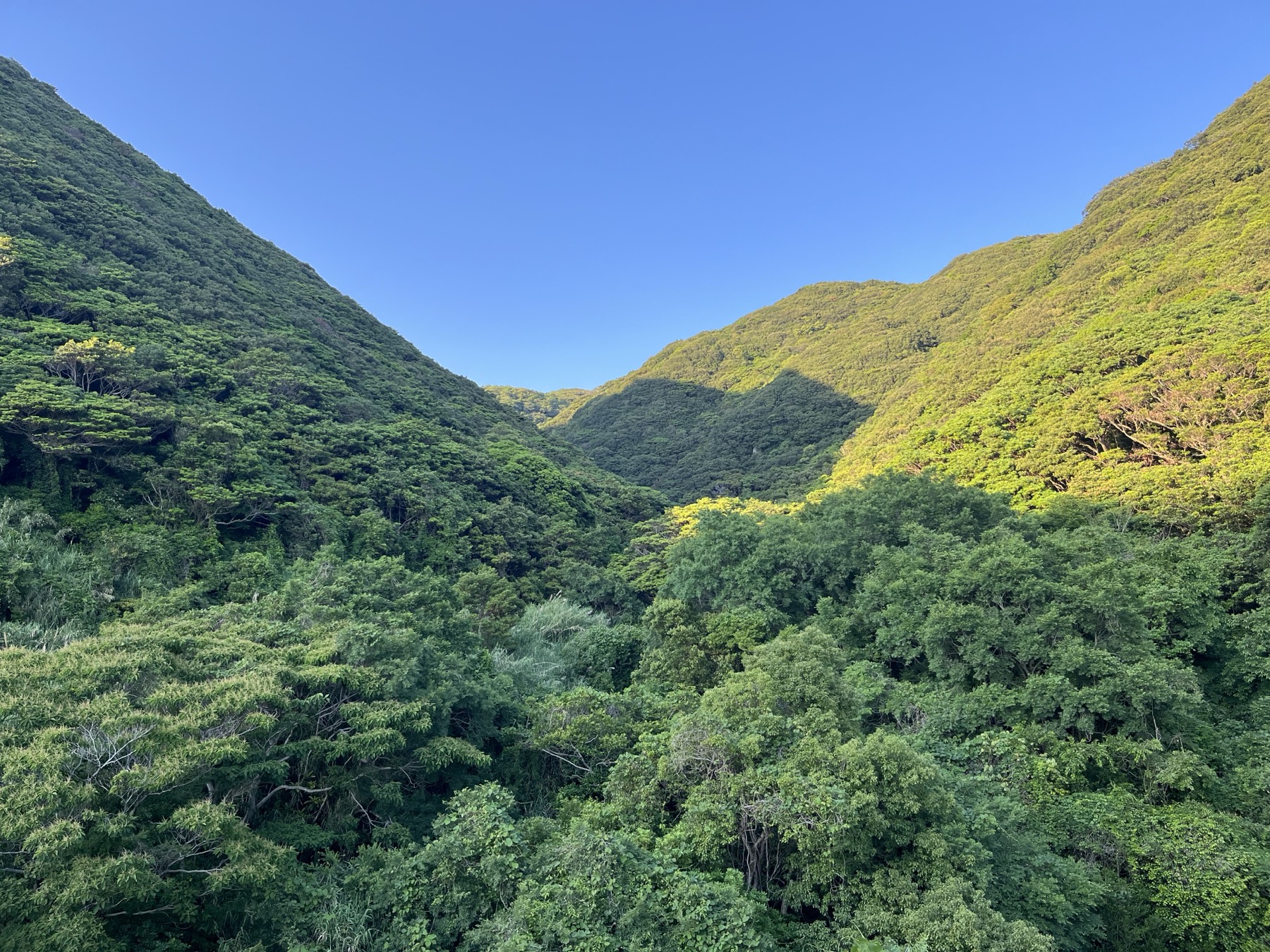 高知の緑深い山なみ